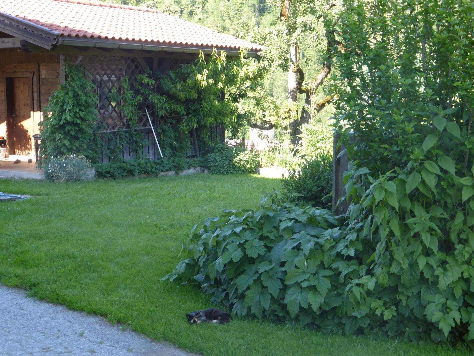 Schwaighof Villa Oberau Exterior foto